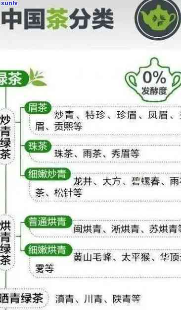 下面哪一类属于发酵茶？请描述其特点与分类