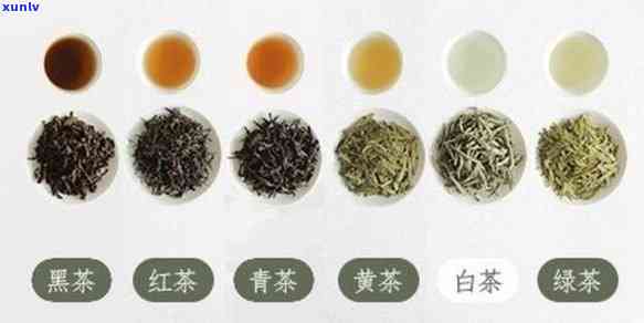 下列属于发酵茶的是-下列属于发酵茶的是( )A绿茶B白茶C青茶D黄茶E红茶