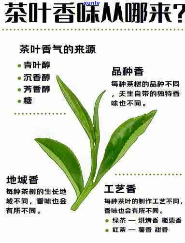 茶的花香是怎么回事-茶的花香是怎么来的