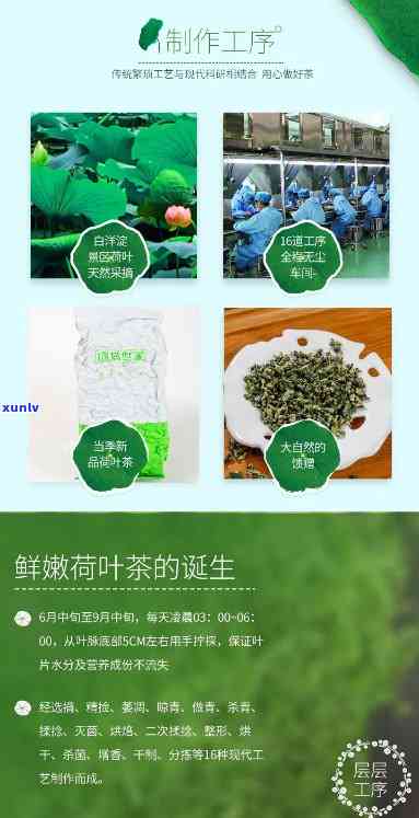 白洋淀荷叶茶价格及功效解析