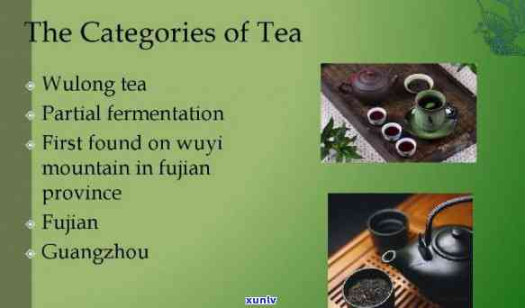 Exploring China's Tea Culture: A Comprehensive Overview and Common Questions