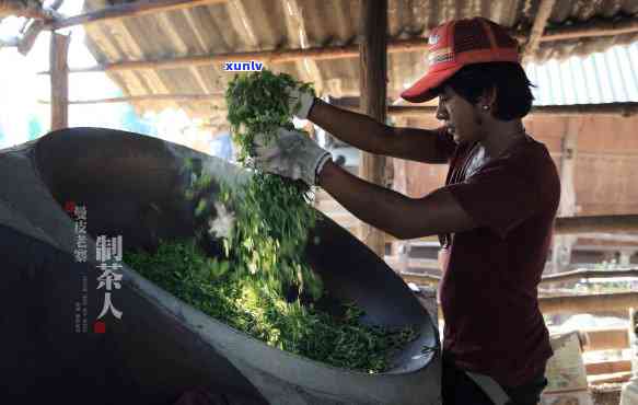 之一个制茶的人是谁-之一个制茶的人是谁啊