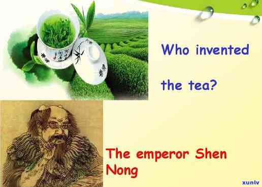 之一个种茶的人是谁英语，Who Was the First Person to Plant Tea?