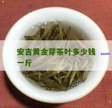 安吉黄金叶茶价格多少？请给出详细回答