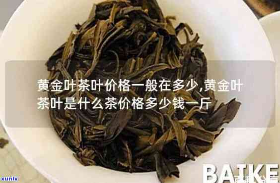 安吉黄金叶茶价格多少？请给出详细回答