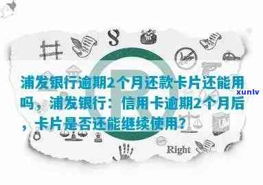 浦发逾期一天还款后，能否继续刷卡采用？安全性怎样？