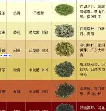 茶的嘌呤含量多少算正常？了解其在正常围内的数值