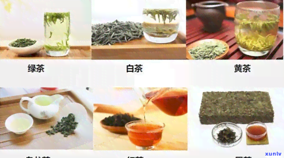 茶的色是什么颜色的图片，揭秘茶之美：探究茶叶色的丰富色彩