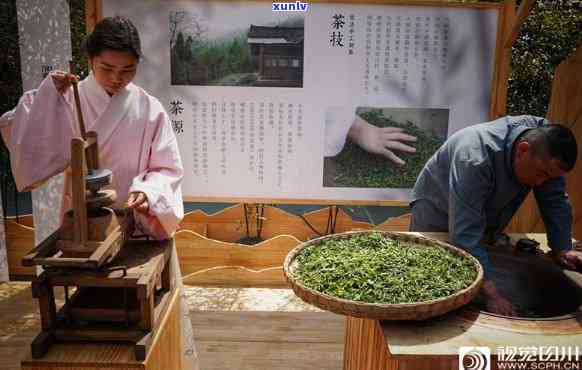 川茶历文化，穿越时空的川茶历文化探秘之旅