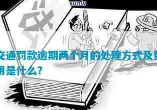 交通逾期两个多月怎么办？怎样解决逾期疑问？