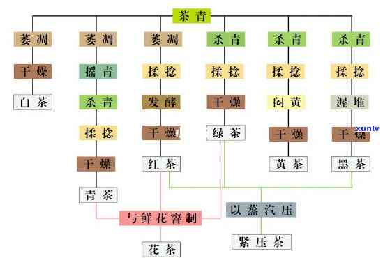 清茶的加工工艺顺序详解：步骤、 *** 与要求