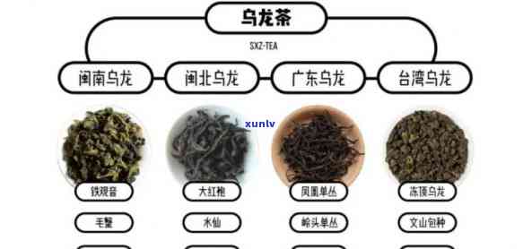 清茶的加工工艺顺序详解：步骤、 *** 与要求