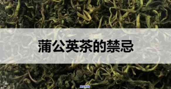 公英茶的禁忌人群-公英茶禁忌症