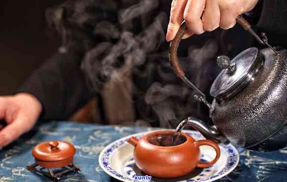 中国煎茶的适用人群-中国煎茶的适用人群有哪些