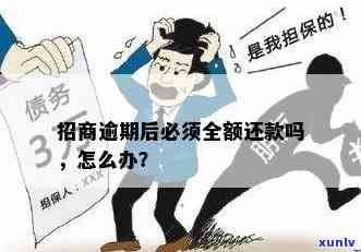 招商预借现金还不上怎么办，遭遇招商预借现金无法偿还？解决方案大揭秘！