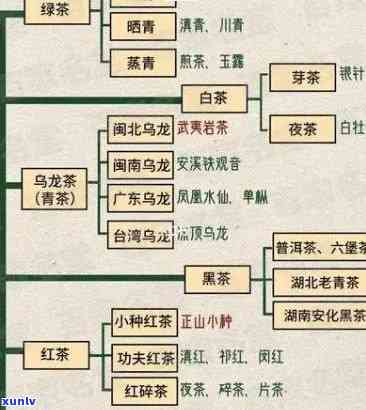 清朝时期茶叶种类及其分类全揭秘