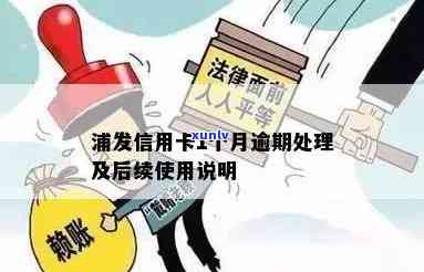 东浦发银行信用卡逾期解决  全攻略