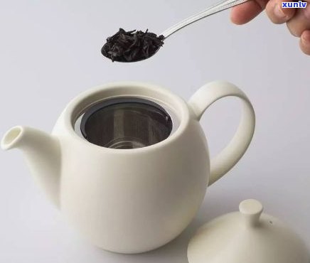 往茶壶里放茶的容器叫什么？揭开它的神秘面纱