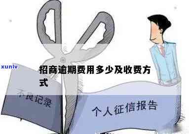 招商逾期费用：按天数计算，怎样收费？