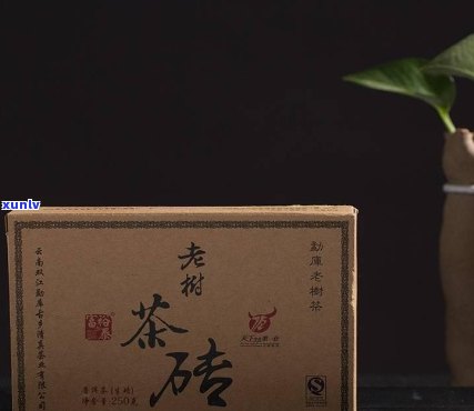 砖茶的包装 *** 视频-砖茶的包装 *** 视频教学