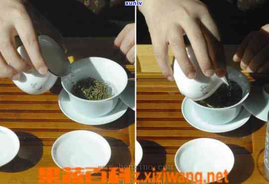 冲茶的正确步骤视频-冲茶的正确步骤视频教程