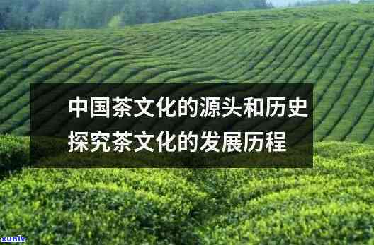 播放茶的起源：探索茶叶的历与文化