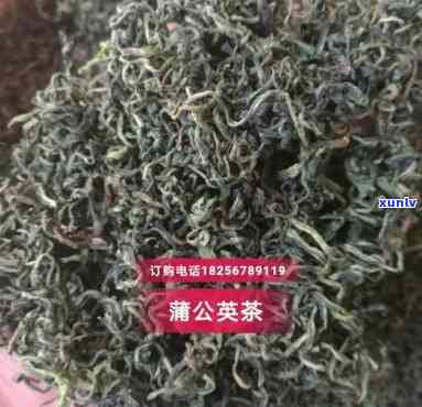 公英茶的图片视频大全 *** ：高清大图与详细内容