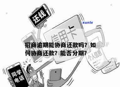 茶叶罐适合放什么茶-茶叶罐适合放什么茶叶