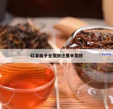 红茶和发酵茶的区别-红茶和发酵茶的区别是什么