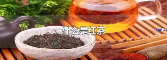 红茶的代表是什么茶-红茶的代表是什么茶叶