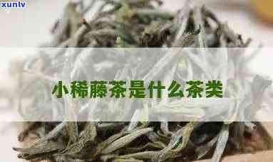 小稀藤和藤茶的区别-小稀藤和藤茶的区别是什么