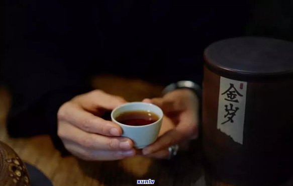 白茶紧压茶与散茶有何区别？探讨两者异同点