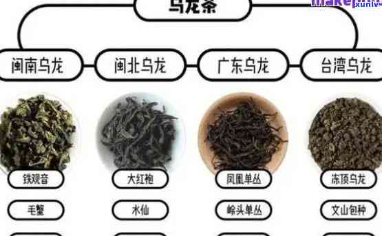 青茶和青毛茶的区别-青茶和青毛茶的区别在哪里