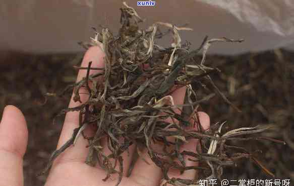 贵茶和便宜茶的区别在哪里，揭秘贵茶与便宜茶的不同之处