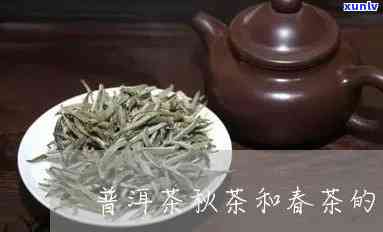 春茶与秋茶的区别及其功效