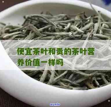 贵茶与便宜茶的区别-贵茶与便宜茶的区别是什么