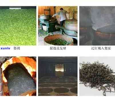 精制茶是什么，揭秘精制茶：从原料到成品的全过程解析