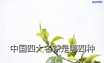 四大名茶是指哪四大-云南四大名茶是指哪四大