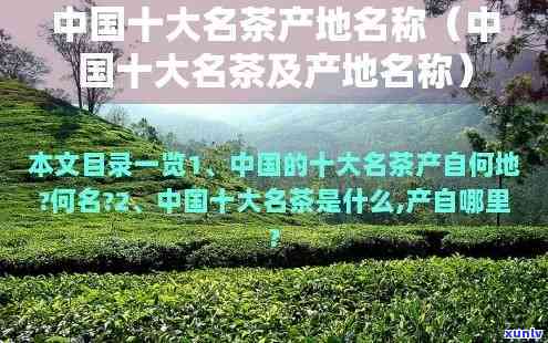 十大名茶及产地名称图片，探索中国茶文化：十大名茶及其产地的精美图片展示