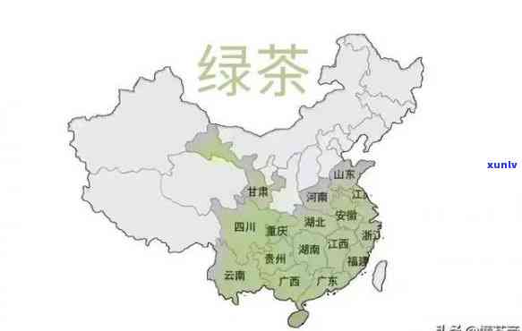 四大茶区及代表茶，探秘中国茶文化：四大茶区及其代表性茶叶