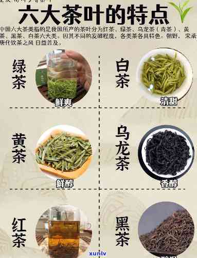 探究六大茶类的代表性茶叶及其特点