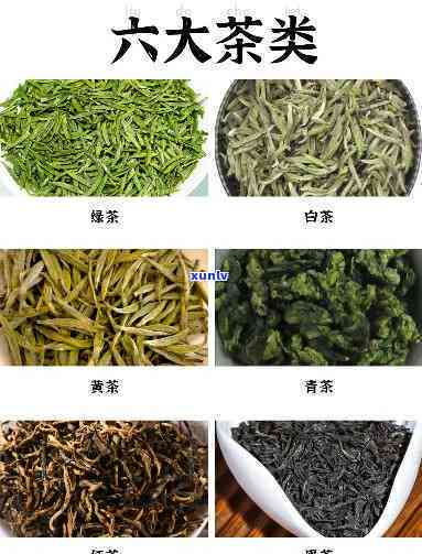 探究六大茶类的代表性茶叶及其特点