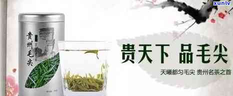 上海世博会十大名茶-上海世博会十大名茶介绍