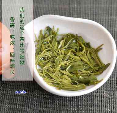 贵州三大名茶锌硒茶-贵州三大名茶锌硒茶价格