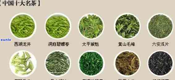 东有什么知名名茶？探究东茶叶文化与品种