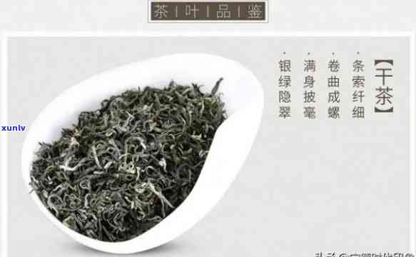 东有什么知名名茶产品，探寻东的茗茶之旅：揭秘知名名茶产品