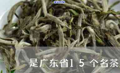 是东省15个名茶-东省的名茶