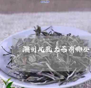 潮州凤凰茶品种介绍大全及图片