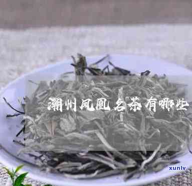 潮州凤凰茶属于什么茶系？详解其特点与分类