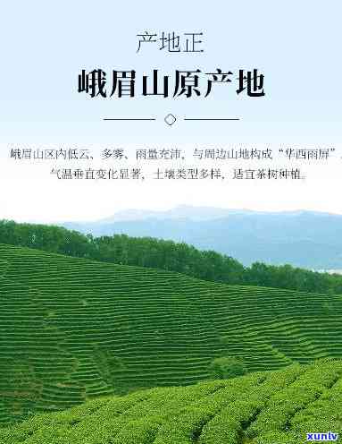 2021年信用卡逾期处理全攻略：逾期原因、后果、解决方案及预防措一文解析